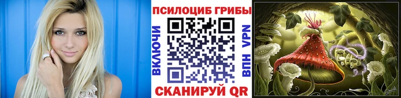 Купить  Андреаполь  Галлюциногенные грибы MAGIC MUSHROOMS 